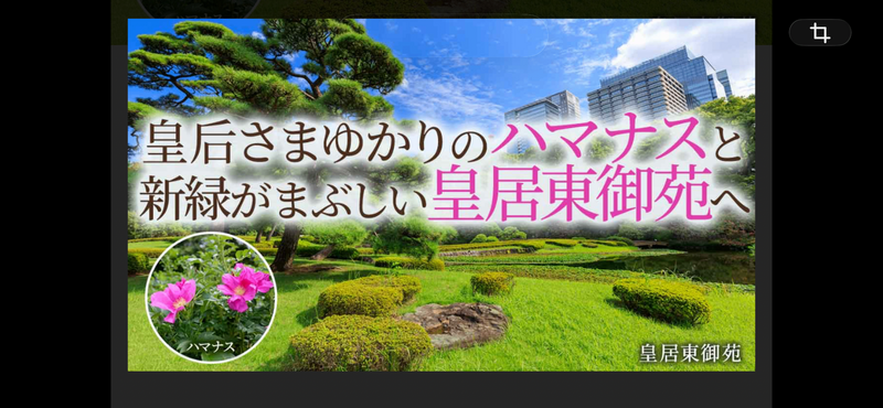 【🌲皇居でお花を🌼🌸💐カメラ📷で撮影しましょう