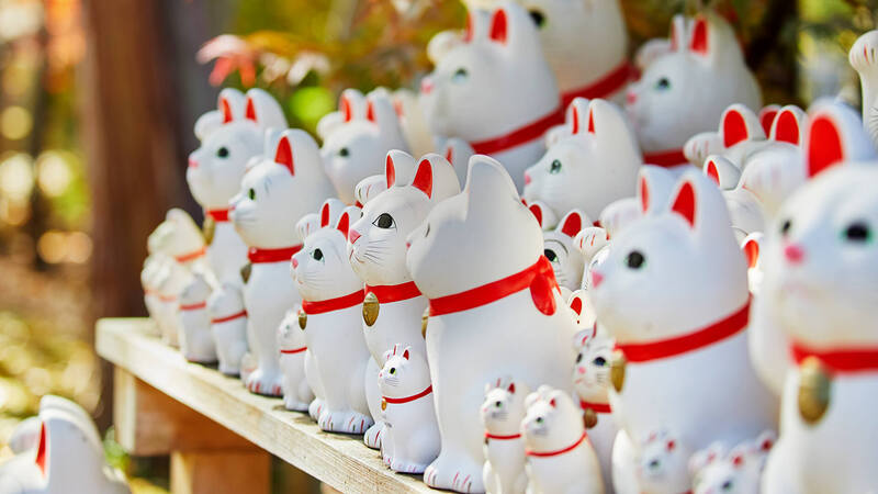 20代30代限定！【休日昼さんぽ】三茶→松陰神社→豪徳寺 ゆったり街歩き交流🌿