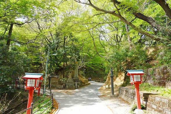 【4/29(水)】 高尾山 12時集合   初心者歓迎！少人数(2〜3人)！