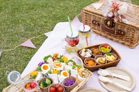 【女性主催/20〜30代】代々木公園でピクニック🧺🌲