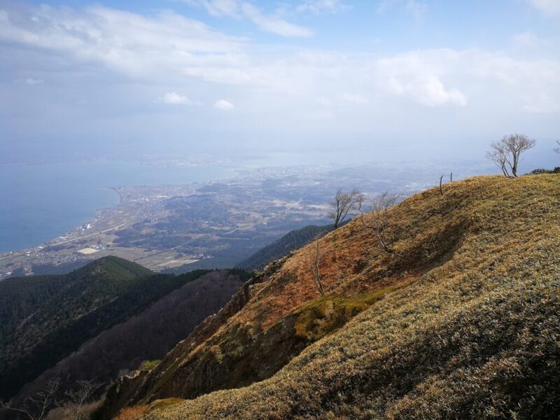 26/5/9(土)  しっかり登山と絶景と水仙の花！盛りだくさんの蓬莱山水仙ハイキング【滋賀 蓬莱山ハイキング】
