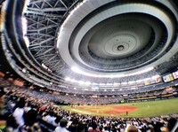 4月28日京セラドームBs 対ソフトバンク戦　オリ姫募集