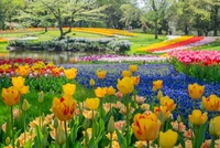 【立川】昭和記念公園でジョギング