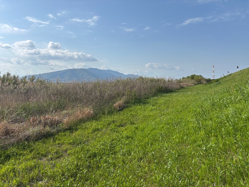 【5/9開催】三重県民の森・ピクニック🌳自然いっぱい！みんなでのんびりリフレッシュデー🍱