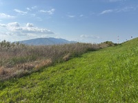 【5/9開催】三重県民の森・ピクニック🌳自然いっぱい！みんなでのんびりリフレッシュデー🍱