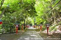 【4/29(水) 高尾山】11:00集合 ※1名のみ募集