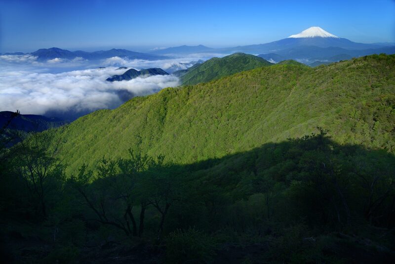 【脱初級！】神奈川県鍋割山トレッキング！初夏の丹沢の絶景満喫⛰️✨