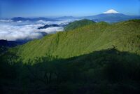 神奈川県鍋割山トレッキング！初夏の丹沢の絶景満喫⛰️✨