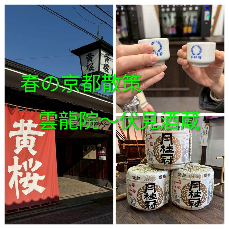 🌸春の京都散策　雲龍院🌿〜瀧尾神社🐉〜伏見酒蔵🍶