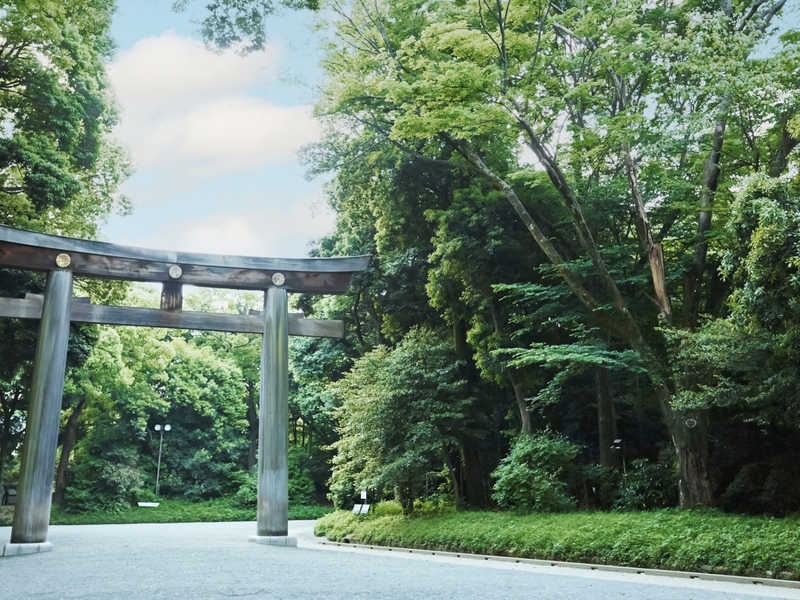【20代限定】明治神宮をお散歩しよう🌲✨