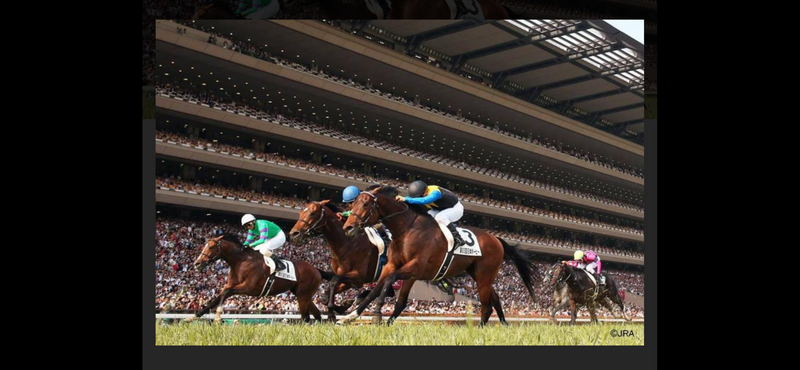 【初開催・東京競馬場】初心者大歓迎🏇観戦＆グルメ体験ツアー！友達広がるワクワクイベント✨