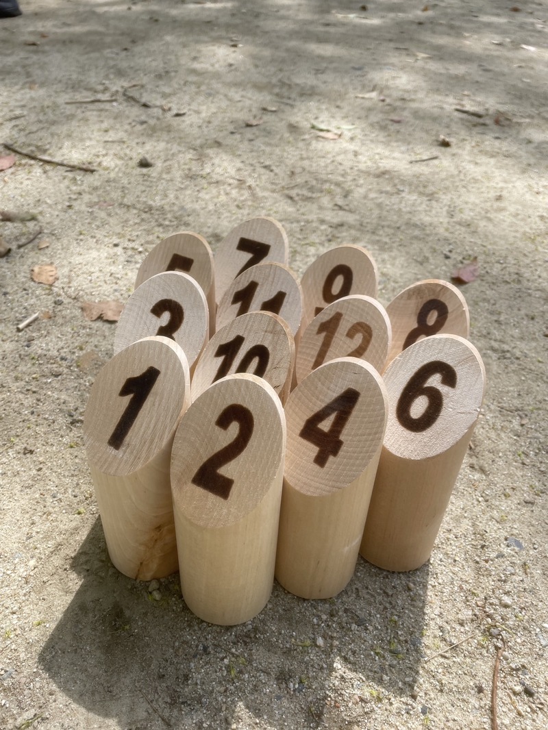 20代限定🌿1人参加歓迎！初心者OKのモルックでゆるく遊びませんか？✨