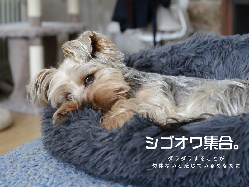 20代限定｜平日夜ゆる飲み会🍻