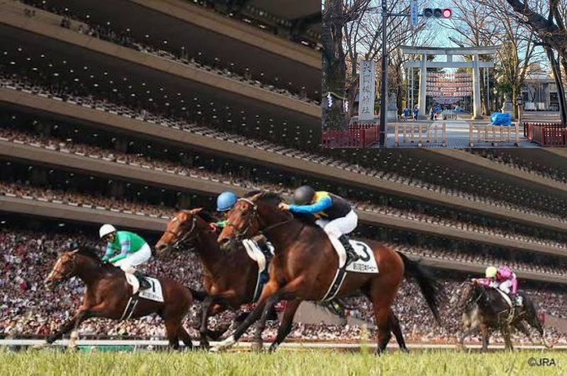 【神社参拝してから競馬に行こう！】5/23 13時半　府中　大國魂神社～東京競馬場！【参加費還元！】