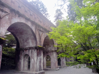 新緑を楽しみに行こう☀️🌿南禅寺ツアー🌿
【20代〜30代限定】