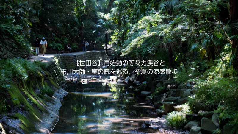 【世田谷】再始動の等々力渓谷と玉川大師・奥の院を巡る、初夏の涼感散歩