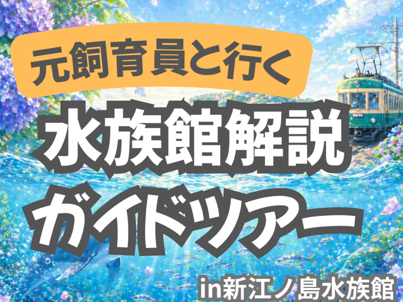 元･飼育員の「新江ノ島水族館」解説ガイドツアー