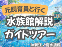 元･飼育員の「新江ノ島水族館」解説ガイドツアー