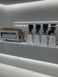 【5/6(水)麻布台ヒルズ散策🌳】都会の緑を巡るリフレッシュウォーク・カフェタイム☕️
