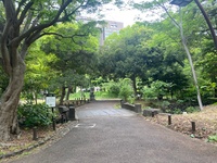 🚶🏻【日比谷公園】朝さんぽ と カフェトーク