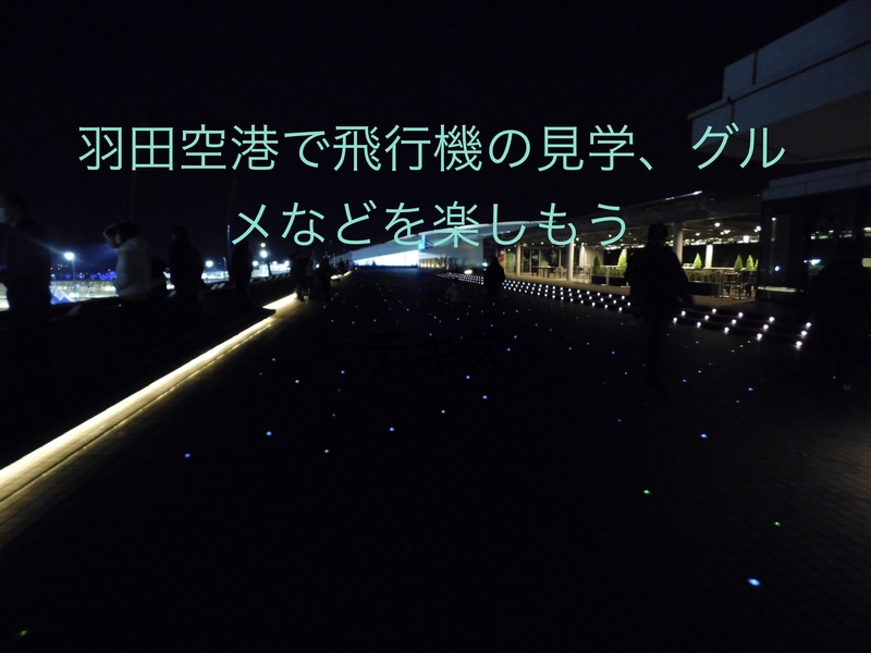 【5/5開催】羽田空港✈️滑走路ウォッチ&空港探検！限定14時スタートで初心者歓迎🚩
