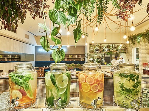 【5/6(水祝)日比谷】20～35歳限定🥗ヘルシー野菜カフェ会！in東京ミッドタウン🌱