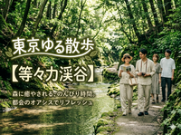 【1人参加多数】等々力渓谷で朝さんぽ🌿