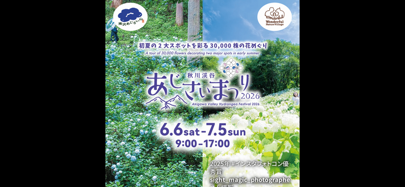 【6月限定開催】東京あきる野市アジサイ山🌈満開の紫陽花で初夏を感じる贅沢散策ツアー！初心者&おひとり様歓迎