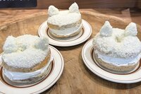 🥯韓国で話題！モチふわベーグルを楽しむ会🇰🇷✨
〜自由が丘のカフェに行こう🎶
