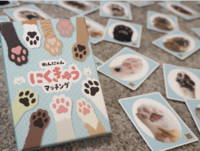 5月24日(日)正体隠匿・パーティー系メインのボドゲ会※ゲムマ新作あり