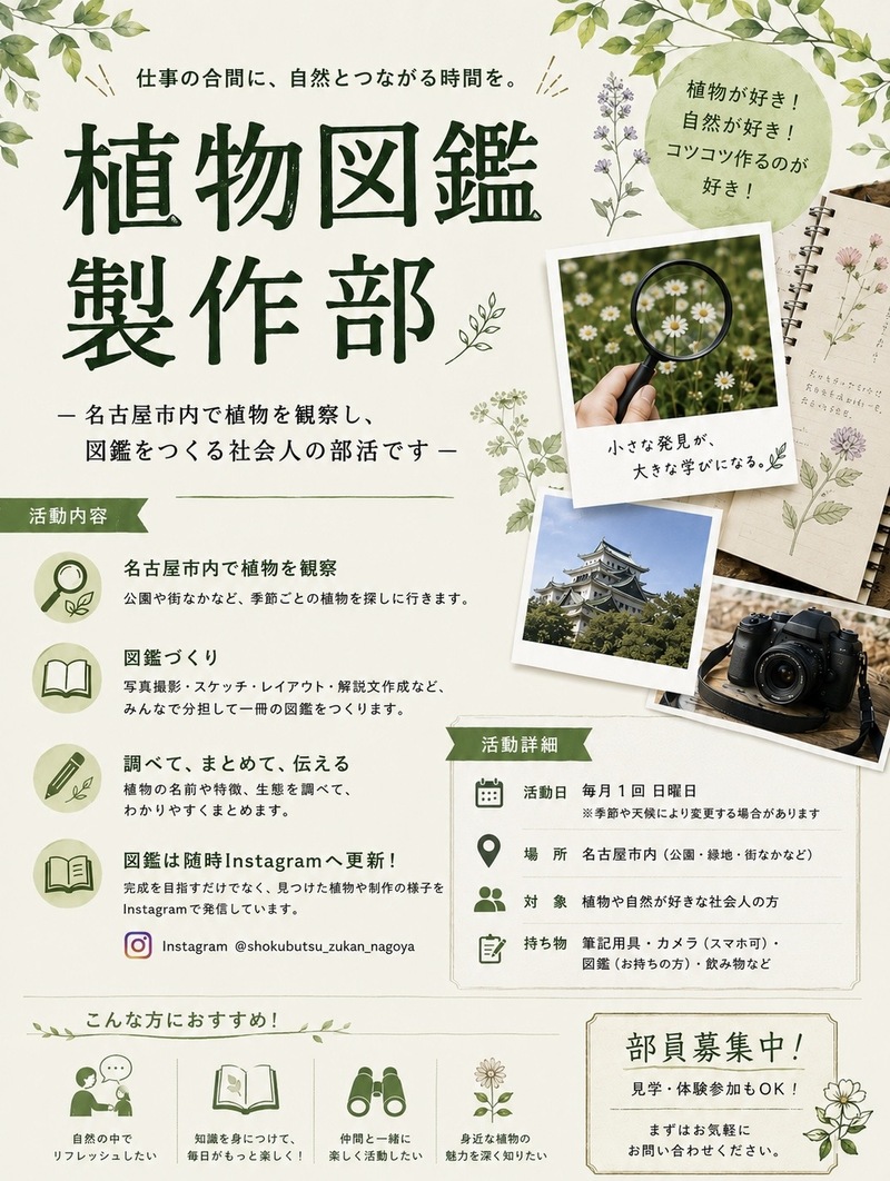 【5/10開催】吹上公園〜鶴舞公園間で植物図鑑収集！緑あふれる名古屋・初夏の散策🌱初心者＆一人参加歓迎