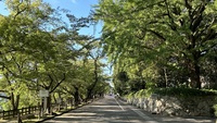 5/12（火）平日のしごと終わり！公園でおしゃべり🗣️【20代限定/初参加OK!】