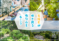 紫陽花が咲き誇る雨引山で歩いてハイキング楽しもう！