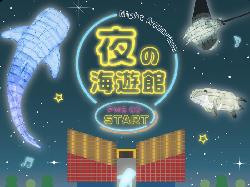 夜の海遊館に行こう🐟   29歳以下限定！