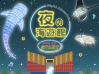 夜の海遊館に行こう🐟   29歳以下限定！