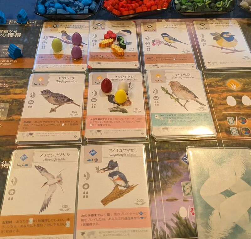 現在7名参加予定！スパン会【高田馬場】こもれびの森ボードゲーム会🎲