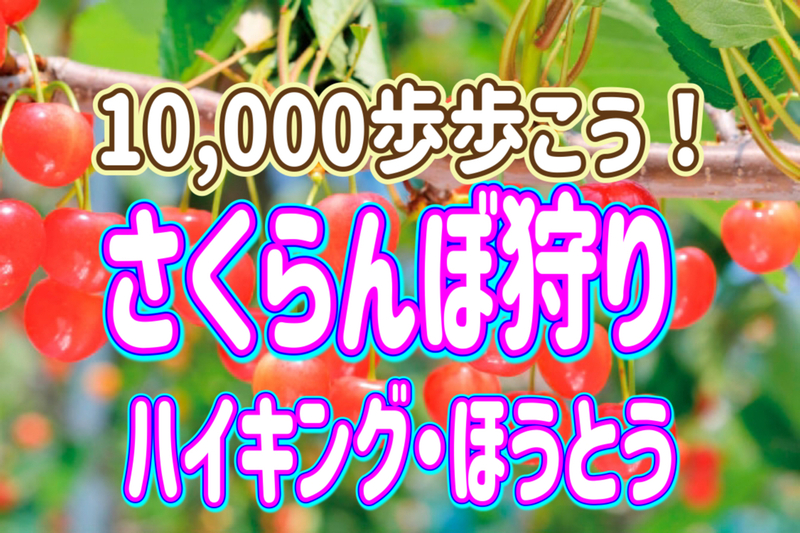 6/21 ◎さくらんぼ狩りをしながら1万歩歩こう！◎山梨で高台からの絶景を楽しもう～！