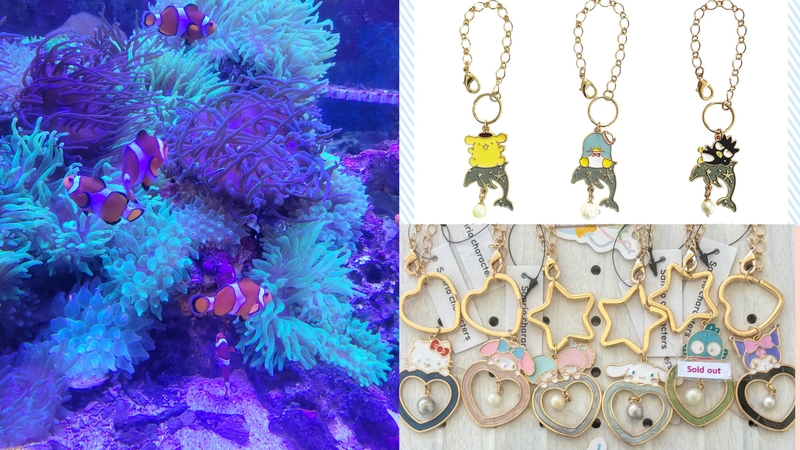 【女性主催】みんなでしながわ水族館にいこう！真珠取りはやりたい人だけでok！