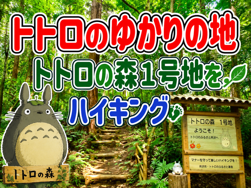 7/18【朝活】トトロの森１号地、狭山不動尊、狭山湖ハイキングを楽しもう！