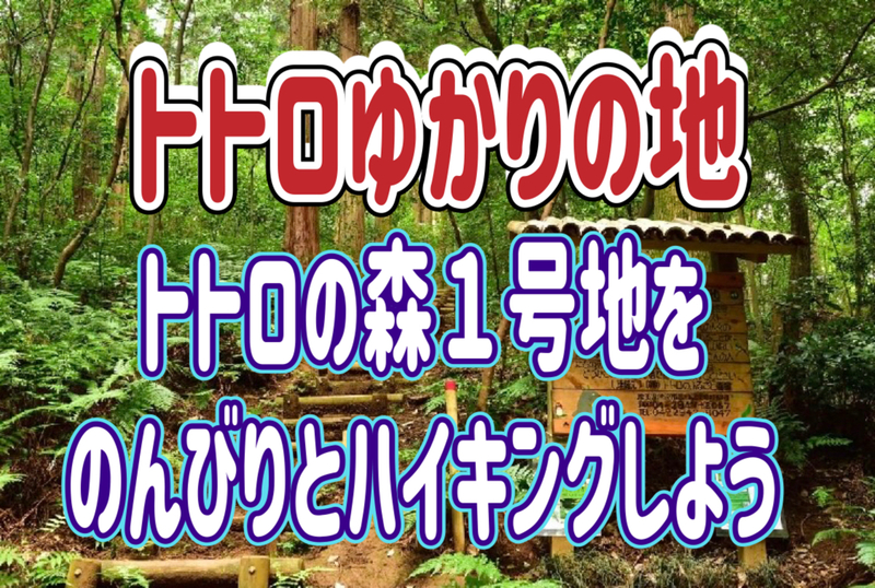 7/18【朝活】トトロの森１号地、狭山不動尊、狭山湖ハイキングを楽しもう！