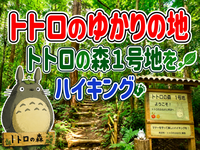 7/18【のんびりハイキング】トトロの森１号地、狭山不動尊、狭山湖ハイキングを楽しもう！
