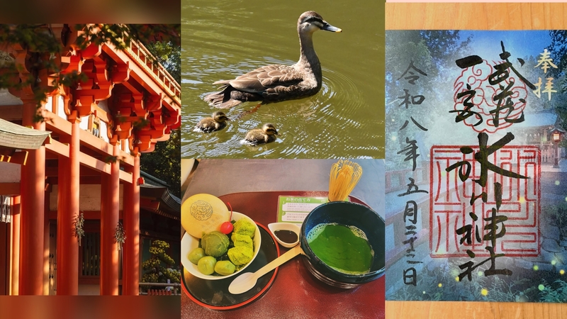 【女性主催】武蔵一宮氷川神社と大宮公園の動物園&ピクニックにいこう！
