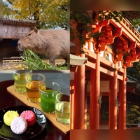 【女性主催】武蔵一宮氷川神社と大宮公園の動物園&ピクニックにいこう！