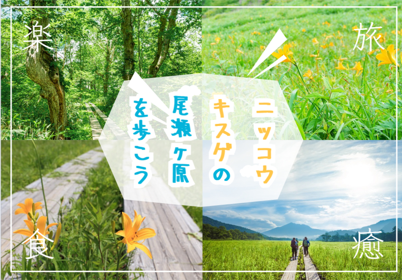 ニッコウキスゲが広がる尾瀬ヶ原で歩いて楽しもう！
