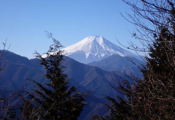 初級者step up登山①🍃 【6/7日曜】高尾山〜小仏城山〜相模湖ダム縦走トレッキング🌳