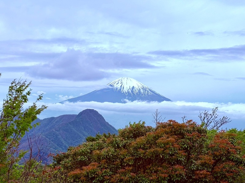 6月7日日曜、高尾山〜小仏城山〜相模湖縦走トレッキング☘️
