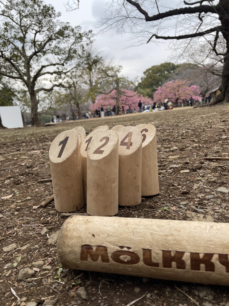 朝活☀️代々木公園🌸【モルック体験会🔰1人参加限定】途中参加退出OK！初心者９割です！年齢不問です！