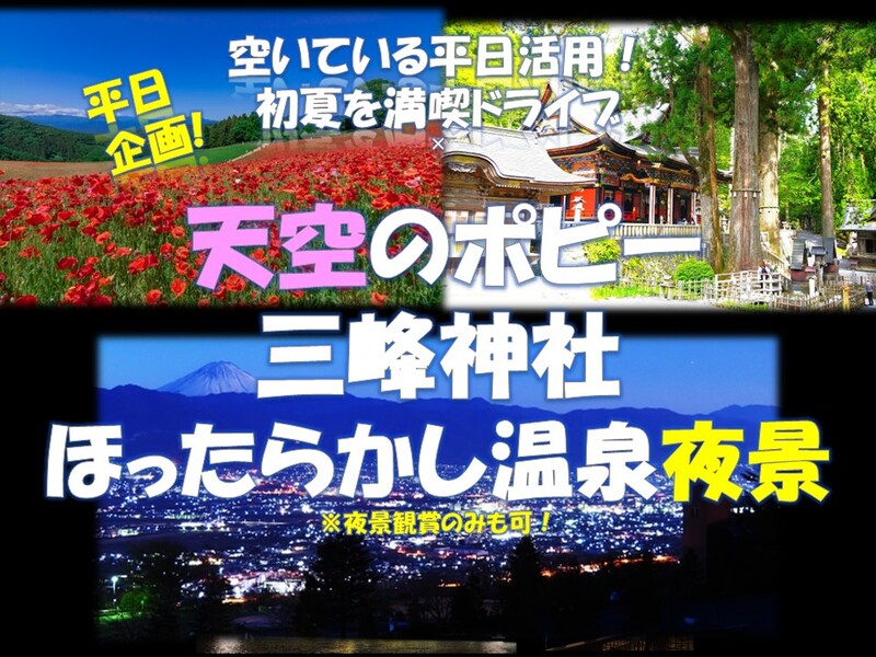 初夏を満喫！天空のポピー×三峰神社×ほったらかし温泉　平日活用企画！【車1台：8名限定企画】