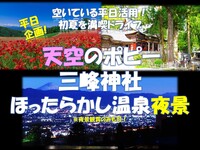 初夏を満喫！天空のポピー×三峰神社×ほったらかし温泉　平日活用企画！【車1台：8名限定企画】