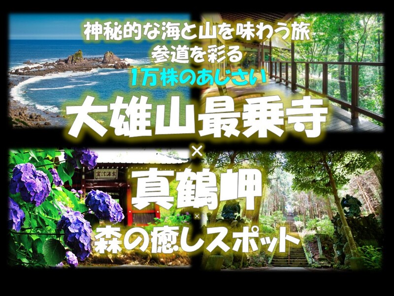 神秘的な海と山を味うあじさい寺へ　真鶴岬、海鮮、大雄山最乗寺、森の癒しスポットへ　アラサー・アラフォー歓迎